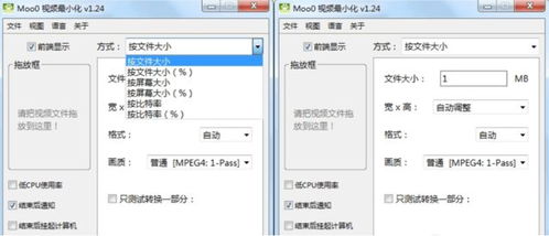 办公效率飞升 精选精品软件服务推荐