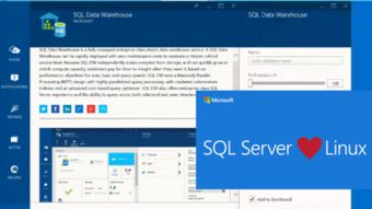 微软称SQL Server为最成功的Linux服务器软件产品